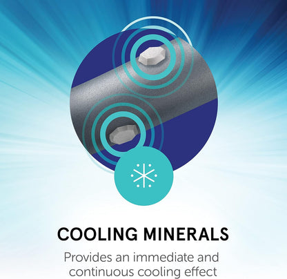 Professional's Choice 2XCOOL Sports Medicine Horse Boots | Protective & Breathable Design for Ultimate Comfort & Durability in Active Horses | Value 4 Pack