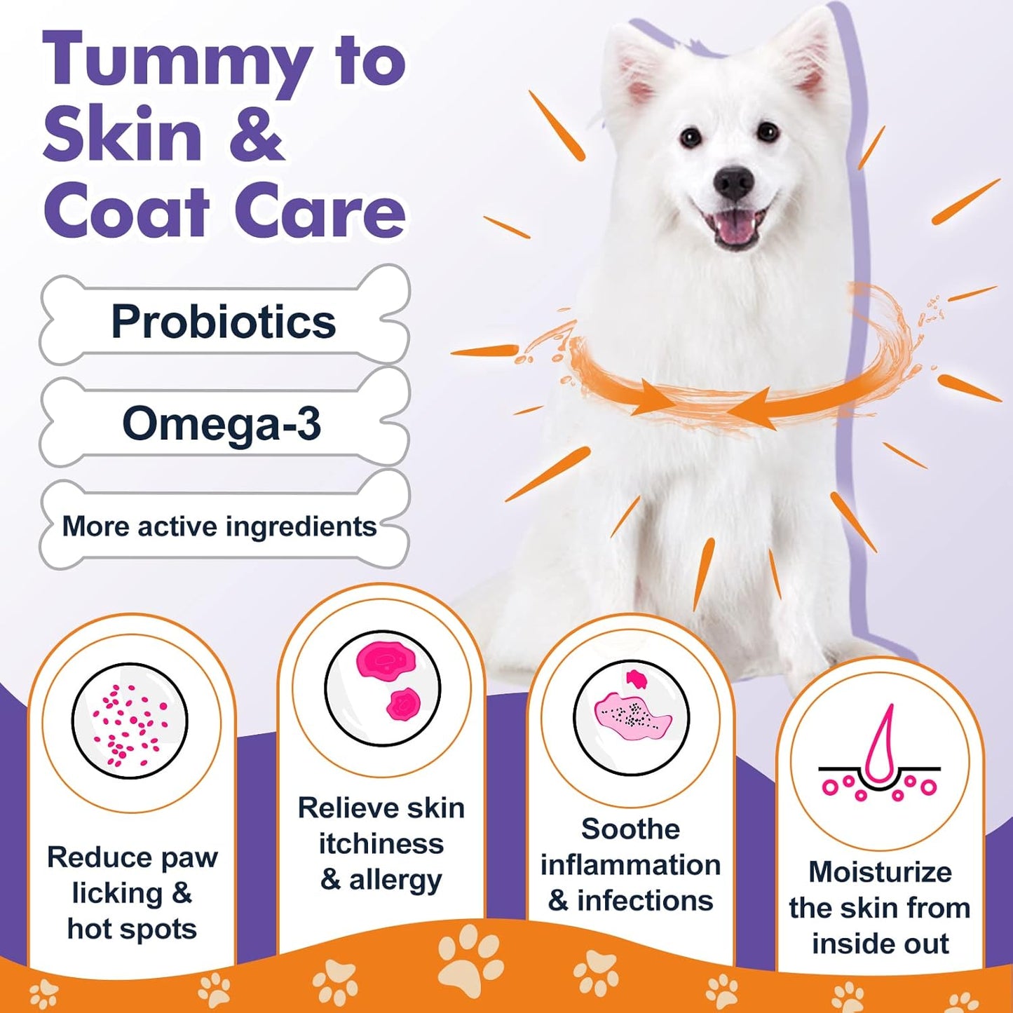 Probiotics for Dogs Freeze-Dried & Soft Chew