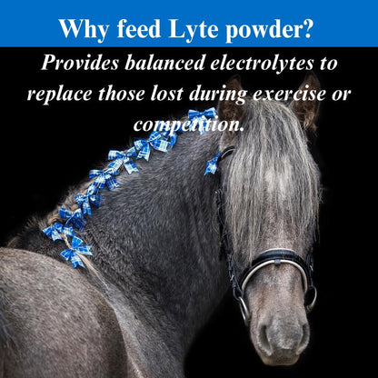 SU-PER Lyte Horse Electrolyte Supplement - Helps Maintain Normal Body Fluid Levels - Performance Horse Minerals & Electrolytes Replacement - 50 Pound, 13 Month Supply
