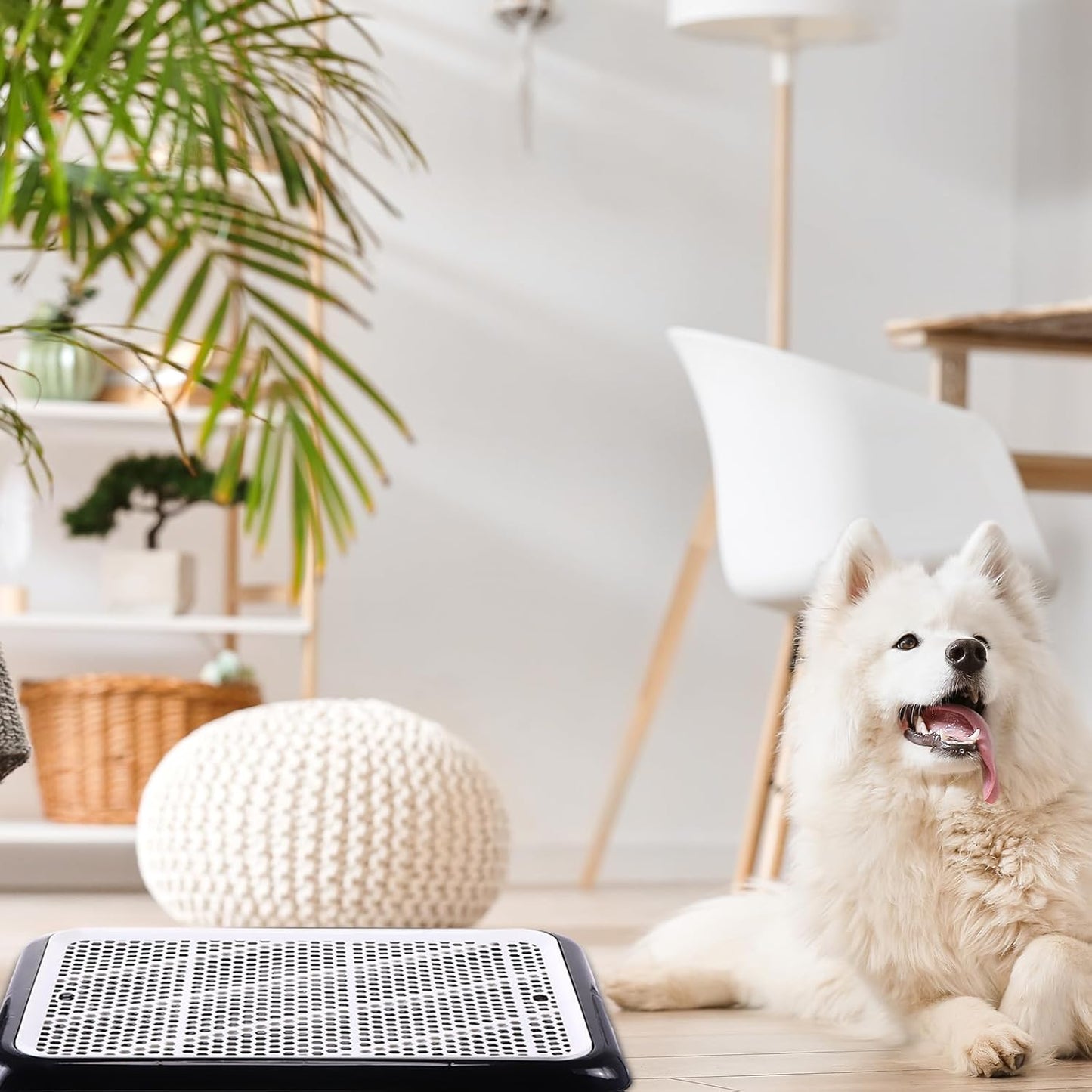 Mifoci 2 Pcs Dog Pee Pad Holder Potty Tray Portable Dog Litter Box Toilet Training for Small Medium Large Pet Puppy Indoor Outdoor