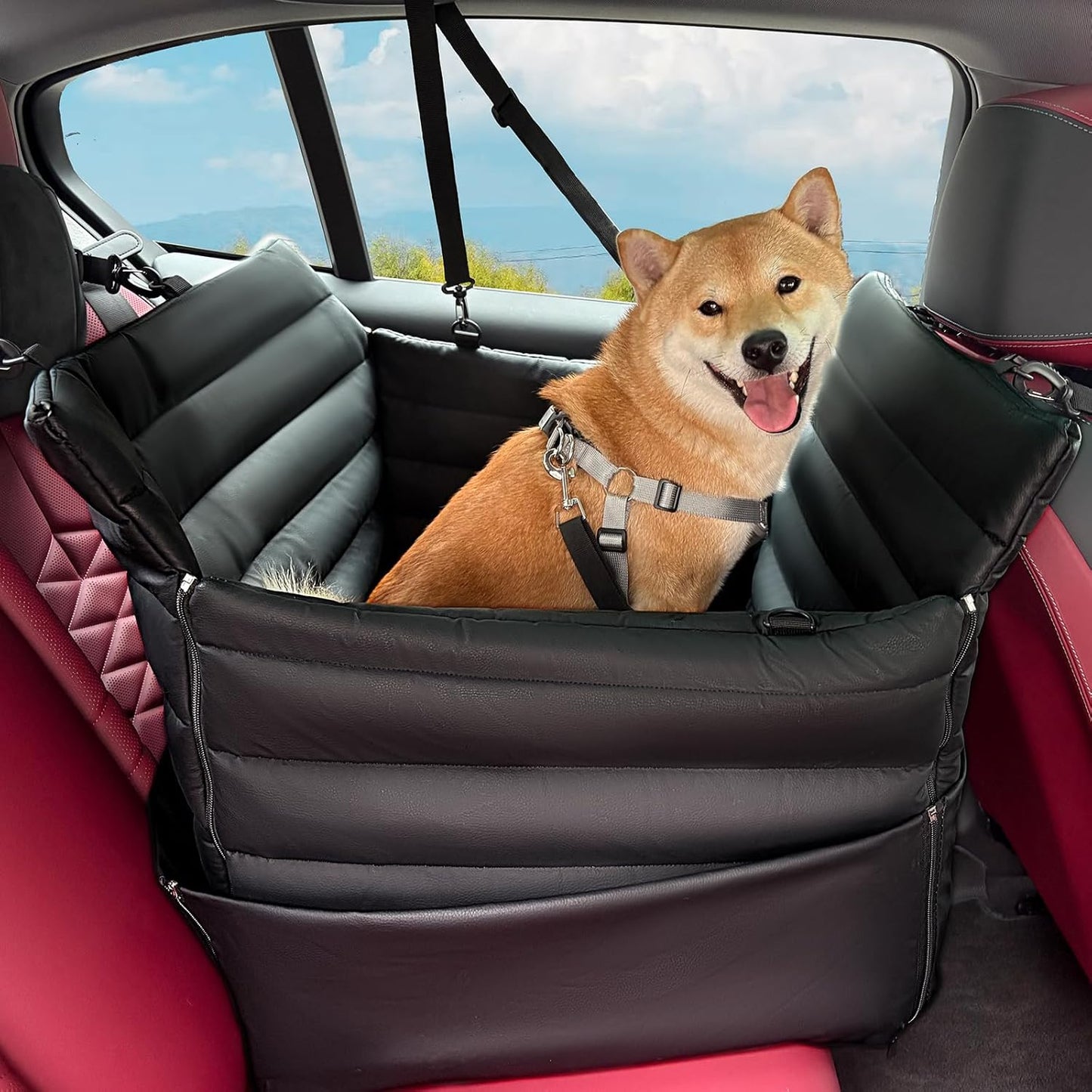 Dog Car Seats for Medium Dogs : Secure & Cushioned Pet Booster for Travel – 2-in-1 Foldable Dog Bed for Front or Back Seat, Waterproof PU Leather, Up to 45 lbs（Black）