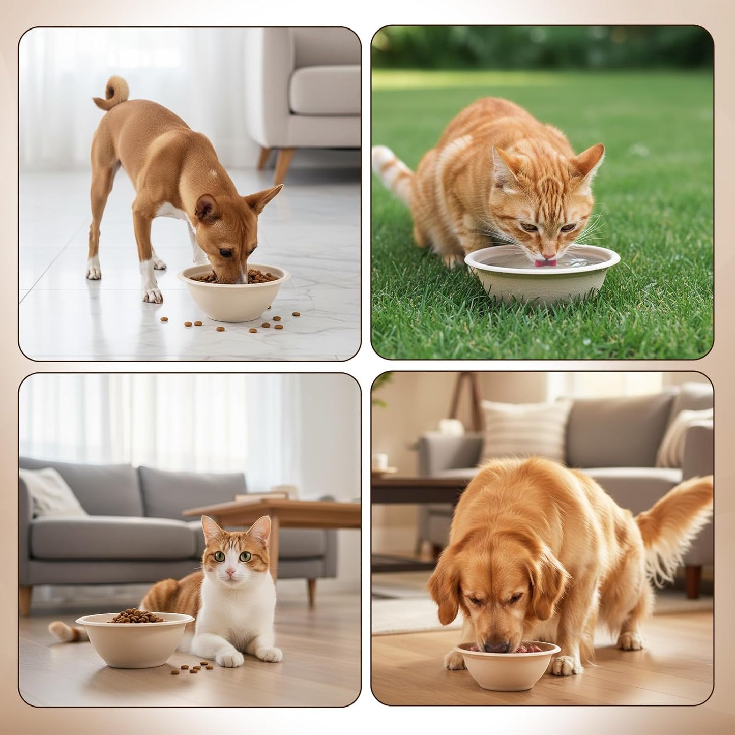 SHENLIU 200 Pcs Disposable Pet Bowls Bulk 8 Oz, Disposable Dogs Cat Food Travel Bowls Paper Puppy Cat Food Dish Safe Container for Outdoor Small Animal Feeding and Watering Supplies