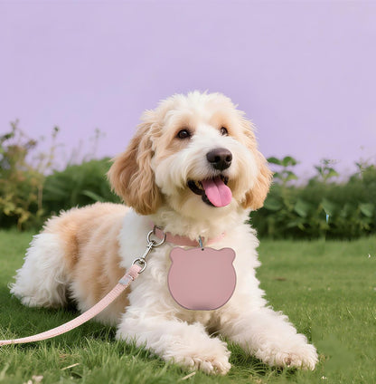 Portable Collapsible Dog Bowl, 2-in-1 Double-Sided Slow Feed Pet Dish with Non-Slip Base & Carabiner, for Hiking, Camping, Travel (Gray)