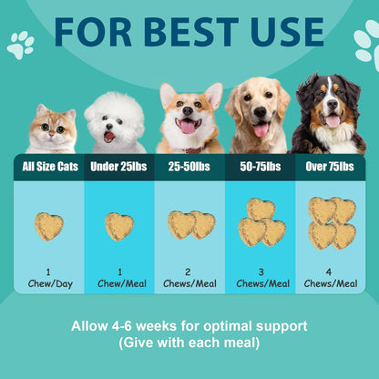 Probiotics for Dogs - Dog Probiotics with Prebiotics & Digestive Enzymes, Support Cut Health, Digestive Health & Immune System, Diarrhea & Allergy Itch Relief, 180 Soft Chews