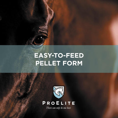 ProElite Gutbiome, Horse Probiotics Prebiotics & Postbiotics, 3 lbs