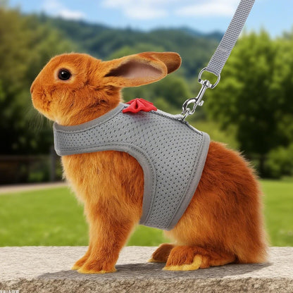 Bunny Harness and Leash Set, Soft Breathable Mesh Rabbit Leash Vest with Safety Buckles, Lightweight Escape-Proof Walking Gear for Rabbits, Kittens, Ferrets, Guinea Pigs, Grey M