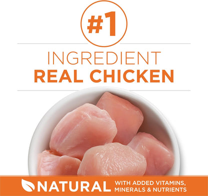 Purina ONE High Protein, Healthy Weight Plus Ideal With Chicken Dry Cat Food Formula - 22 lb. (Pack of 1)