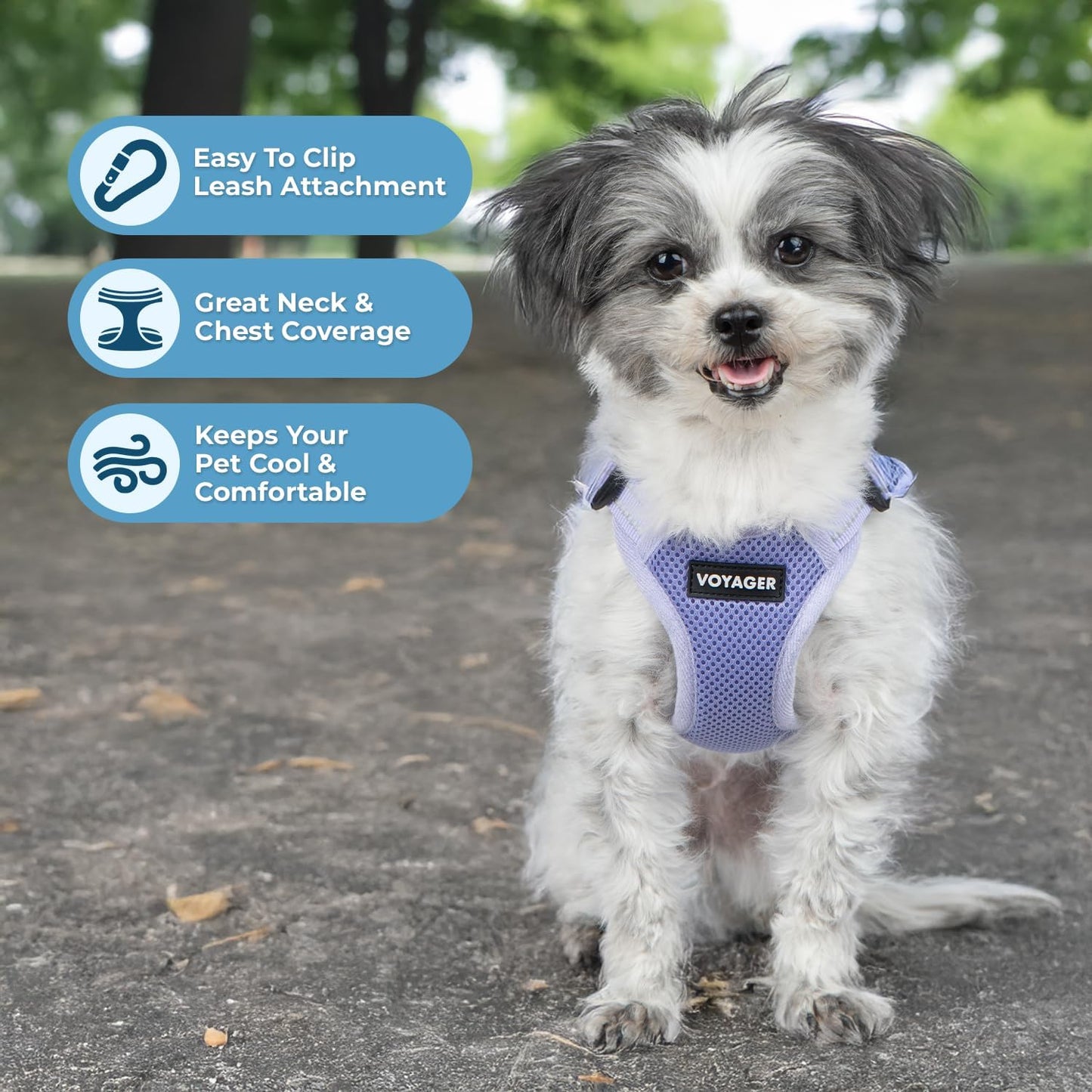 Best Pet Supplies Voyager Mesh Dog Breathable Harness Reflective Stitching, All Weather Adjustable for Walking Training, or Running - Heavy Duty & Durable, Harness (Lavender), S