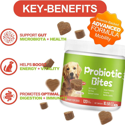 Probiotics for Dogs - Dog Probiotic Chews for Digestive Health, Gut Support, & Immune Boost - Dog Probiotics with Digestive Enzymes & Prebiotics - 120 Probiotic Chews for Dogs