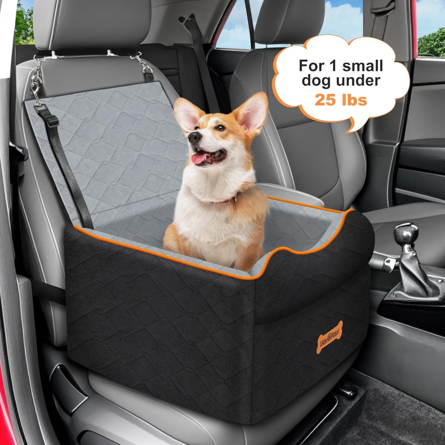 Small Dog Car Seat, Waterproof Dog Booster Seat with Thick Cushion & Safety Leash, Removable Car Back Seat Bed for 1 Small Dogs Under 25lbs, Pet Car Seat for Travel, Black/Gray