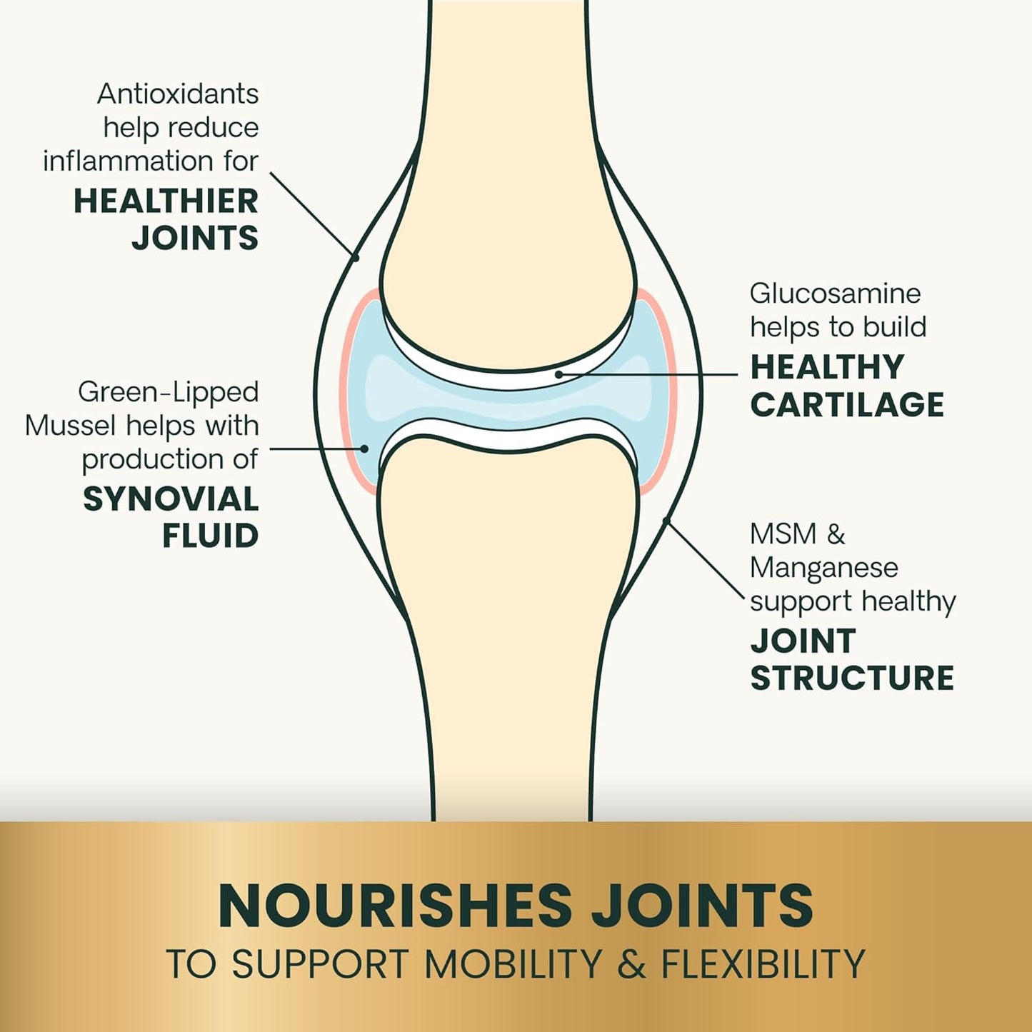 VetriScience Ultimate Strength Healthy Hip & Joint Chews, GlycoFlex Glucosamine, Chondroitin and Green-Lipped Mussel Joint Supplement for Cats, Soothe Joint Discomfort, Fish, 30 Count