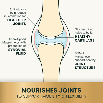 VetriScience Ultimate Strength Healthy Hip & Joint Chews, GlycoFlex Glucosamine, Chondroitin and Green-Lipped Mussel Joint Supplement for Cats, Soothe Joint Discomfort, Fish, 30 Count