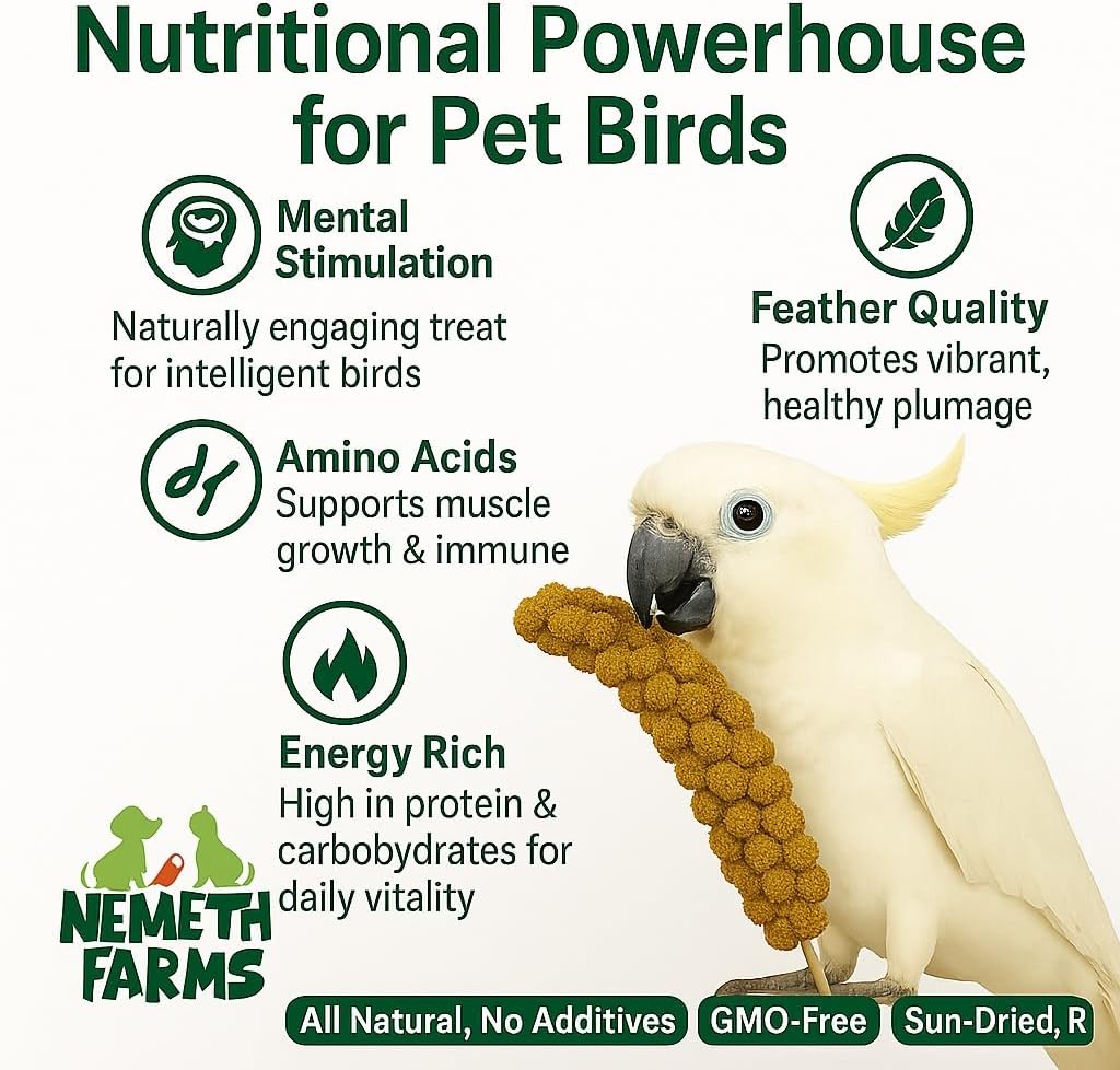 Nemeth Farms Premium Non-GMO Spray Millet Treat | Hand-Harvested Bird Snack | 100% Edible Tops | Sun-Dried Supplement for Parakeets, Cockatiels, Finches, Lovebirds, Canaries