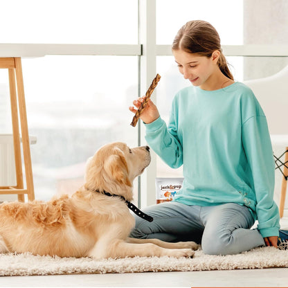 Jack&Pup 12" Braided Beef Collagen Sticks for Dogs - Rawhide Free Dog Chews Long Lasting Collagen Chews for Dogs - Bully Sticks Alternative (1 Pack)