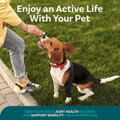 PetCove Dog Knee Brace for Torn Acl Hind Leg — Neoprene Compression, Spring Stabilizers, Belly Band Support Strap, Adjustable Velcro Fit, ACL/CCL, Arthritis, Front/Back Leg, Post-Surgery Recovery