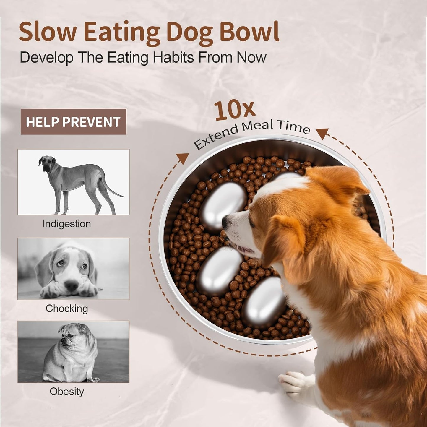 Slow Feeder Dog Bowls Stainless Steel with Non-Slip Silicone Base Metal Bowl 2 Cups Heavy Duty Large Capacity Slow Feed for Small, Medium, Large Breed Dogs to Slow Down Eating