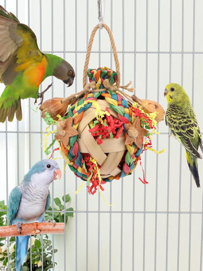 Wontee Bird Toys Colorful Shredding Crinkles Foraging Toys Natural Dried Fruits Chew for Cockatiels Conures Parakeets Budgies Senegal (1 Pack)