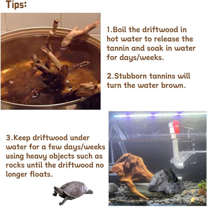 Tfwadmx Aquarium Natural Driftwood Decor Wood Branches, 2 Pieces 8.5-12" Fish Tank Driftwood Decoration, Terrarium Mopani Wood for Aquarium Freshwater Reptile Tank