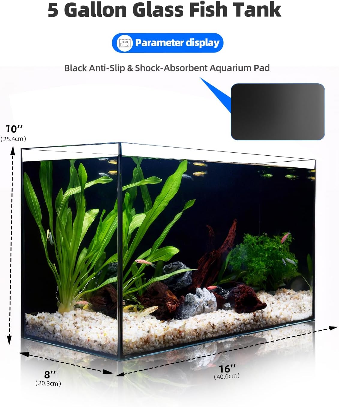 5 Gallon Clear Glass Fish Tank, Easy to Maintain Small Aquariumfor Betta, Goldfish, Snail,Shrimp and Aquatic Planting