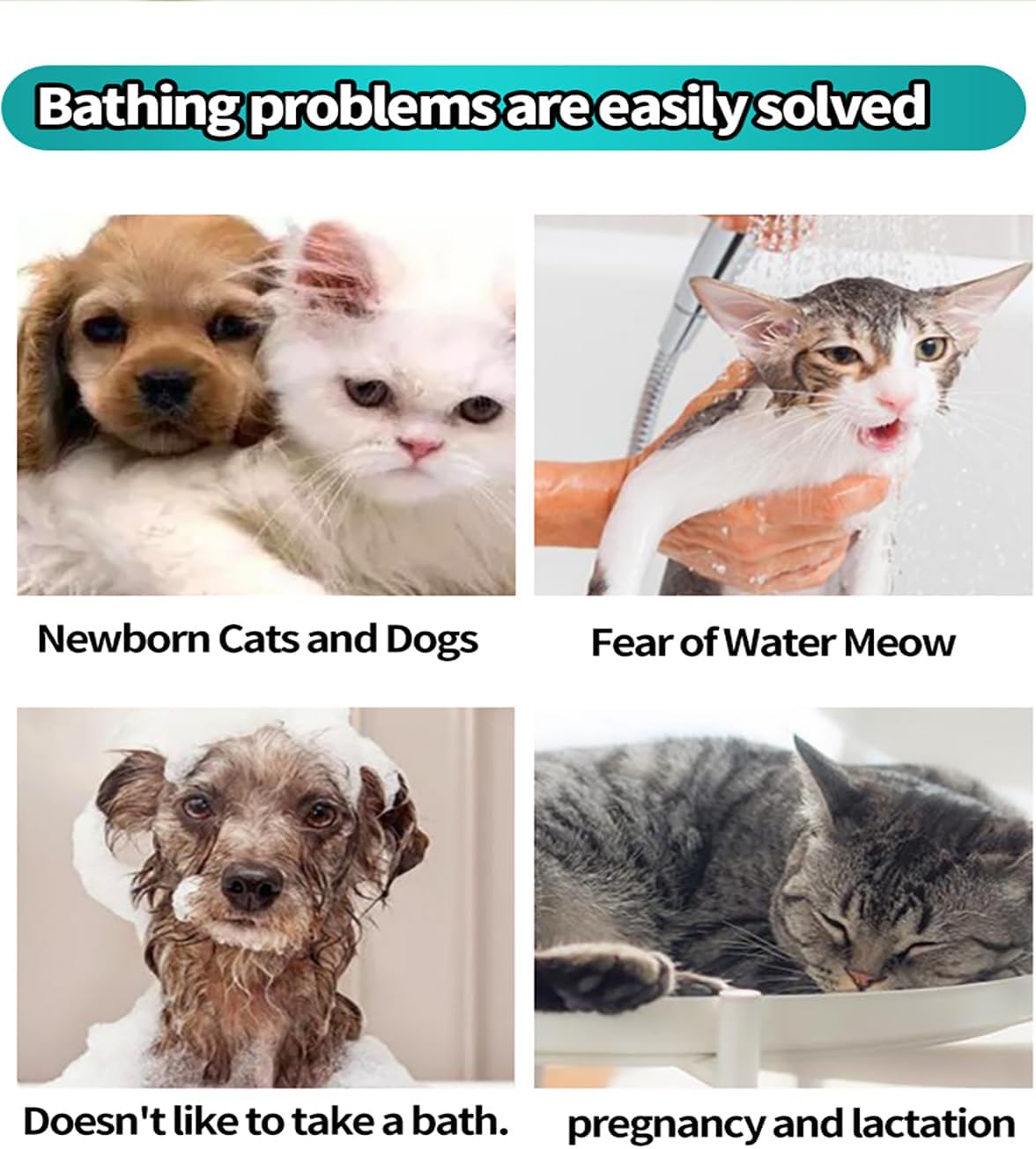 AQUASAFE Pet Bath & Cleaning Gloves for Allergy Prevention & Deodorizing | Thick, Moisturizing Wipes with Aloe & Vitamin E | No Rinse Needed for Daily Care, Travel, Grooming(12PCS)