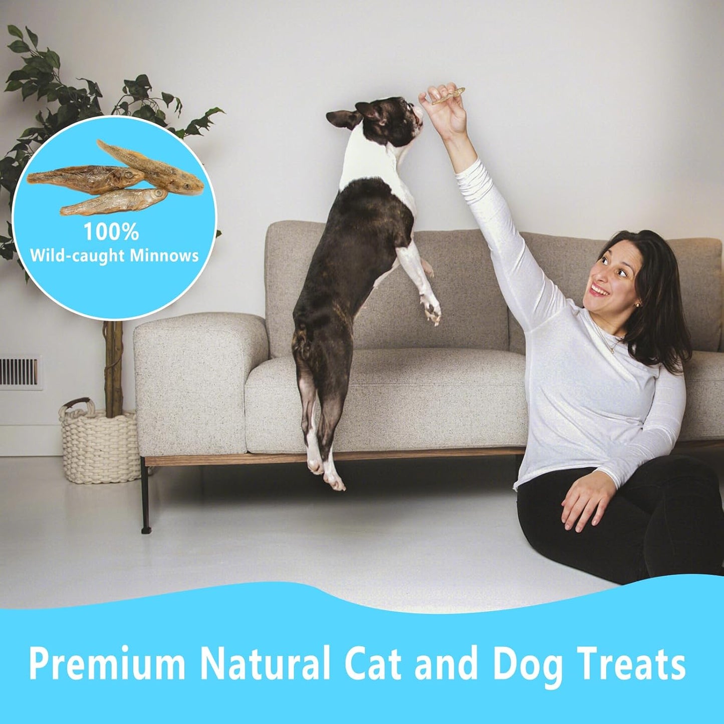 Minnows - 8.5 oz Freeze Dried Minnows for Cats & Dogs - 100% Natural Premium Cat & Dog Treat (8.5 OZ)