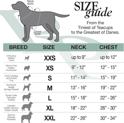 Rocky – The Orginal Lightweight Hooded TEE 100% Organic Cotton Dog Hoodie Pet Coat Sweater for Small, Medium, Large Dogs, Heather Gray, Medium (20-45 lbs)