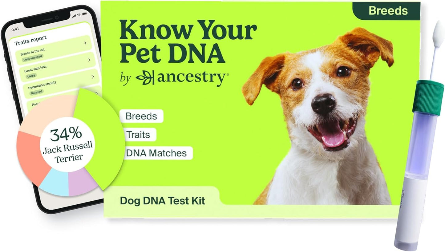 Ancestry Dog DNA Test: at-Home Testing, Breed Identification & Trait Insights, Canine Genetics Analysis, Unique Pet Parent Gift, New Puppy Essentials