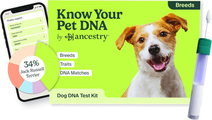 Ancestry Dog DNA Test: at-Home Testing, Breed Identification & Trait Insights, Canine Genetics Analysis, Unique Pet Parent Gift, New Puppy Essentials