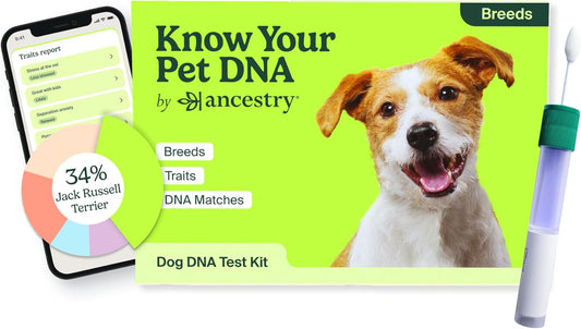 Ancestry Dog DNA Test: at-Home Testing, Breed Identification & Trait Insights, Canine Genetics Analysis, Unique Pet Parent Gift, New Puppy Essentials