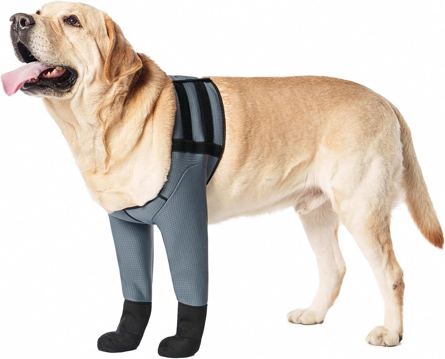 Dog Socks & Boots - Waterproof Anti-Licking Paw Protectors with Non-Slip Bottom, Post-Surgery Recovery Sleeves for Wound Protection (Grey, M)