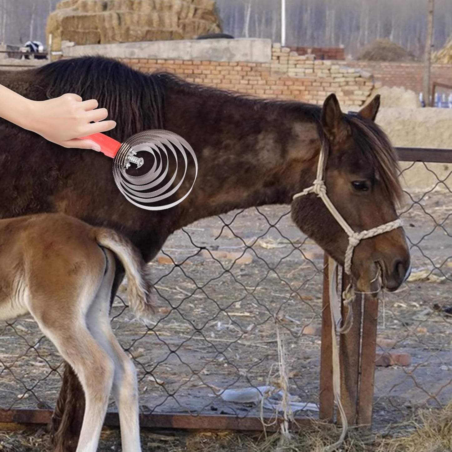 Horse Shedding Brush – Spring Steel Reversible Shedding Comb, Curry Grooming Brushes | Ergonomic Handle Grooming Tool for Horses, Sheep, Farm Animals, Coat and Daily Care Brush for Barn Use