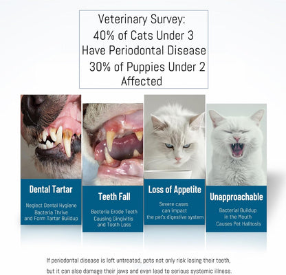 E.M&S.T by Emmeliestella Small Dog & Cat Toothbrush Micro Head, Cat Dental Care, Pets Toothbrush, Oral Hygiene, Easy to Handle, Deep Clean, Soft Bristles, Multi-Angle, Round&Pointed Toothbrush, 5 PCS