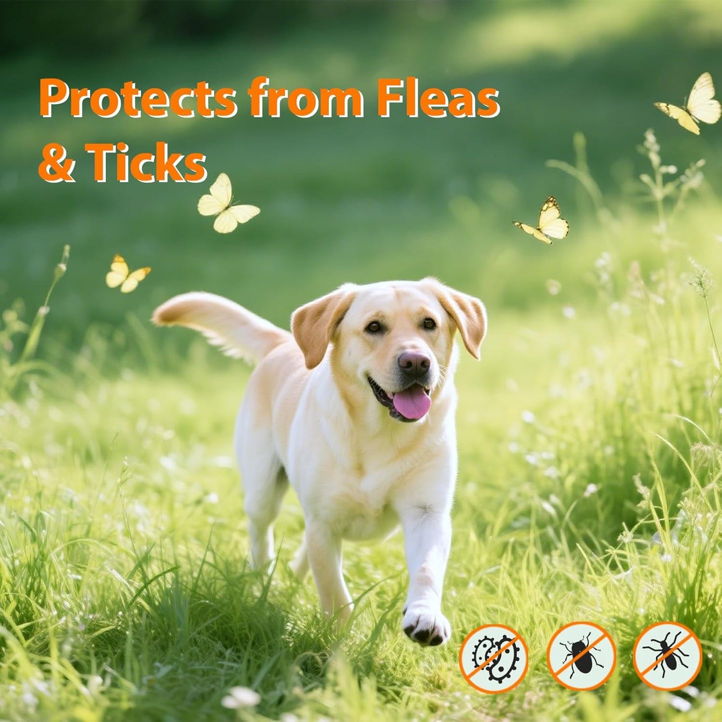 Flea and Tick Prevention for Dogs 180 Treats Natural Dog Flea and Tick Treatment Chewable Supplement for All Breeds & Ages Soft Chews - Chicken Flavor