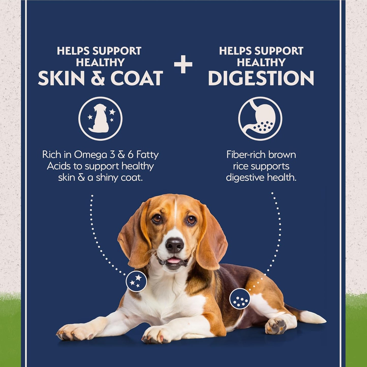 Natural Balance Limited Ingredient Adult Dry Dog Food with Vegan Plant Based Protein and Healthy Grains, Vegetarian Recipe, 24 Pound (Pack of 1)