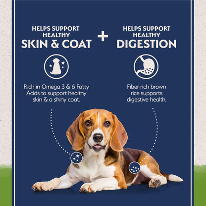 Natural Balance Limited Ingredient Adult Dry Dog Food with Vegan Plant Based Protein and Healthy Grains, Vegetarian Recipe, 24 Pound (Pack of 1)