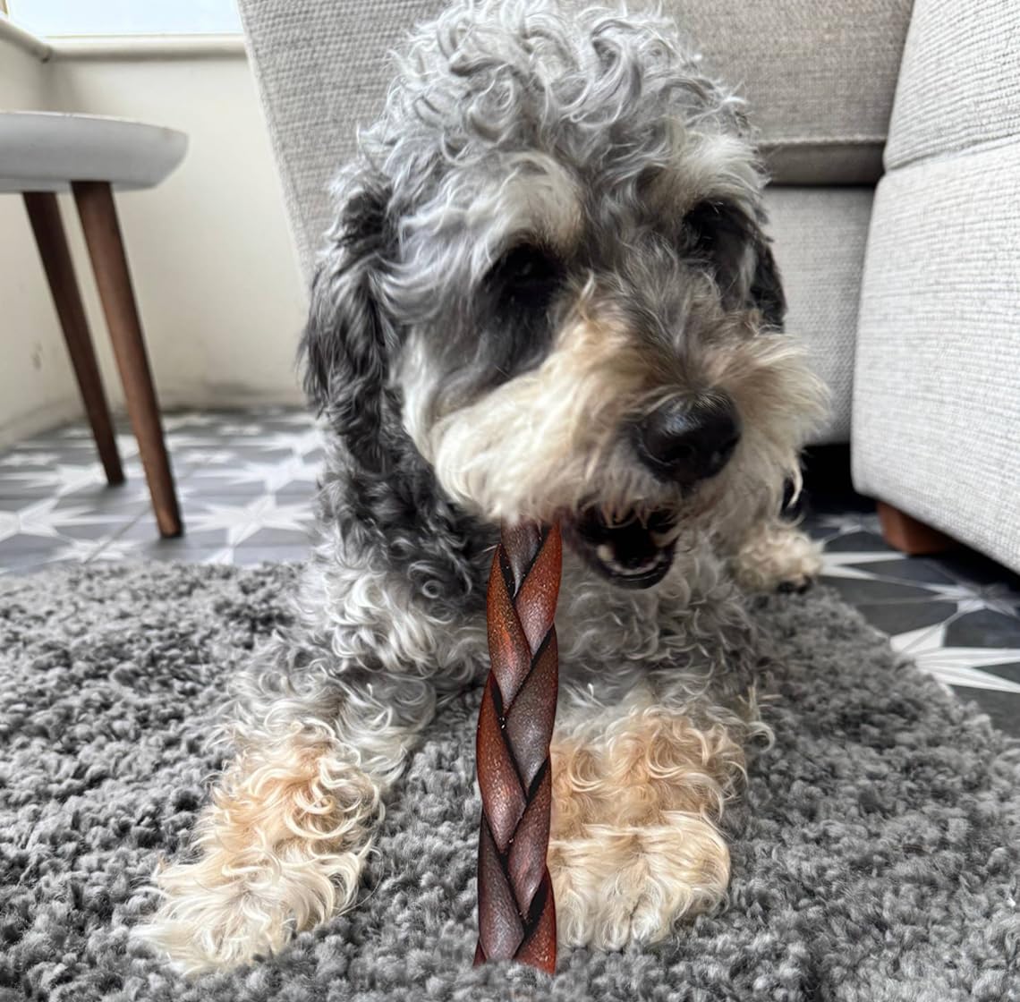 Jumbo Braided Collagen Sticks for Large Dogs, 5 Count 5-6 Inch Beef Collagen Dog Chews Long Lasting, Dog Treats for Aggressive Chewers & Bully Stick Alternative