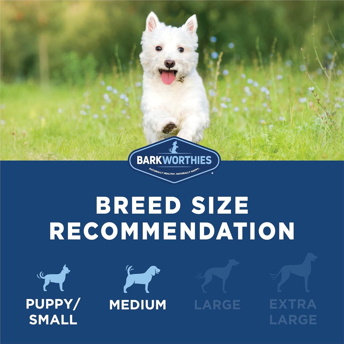 Barkworthies Peanut Butter Collagen Sticks - 6 Inch 8 Count (Pack of 1) - Flavorful, Single Ingredient, Long-Lasting