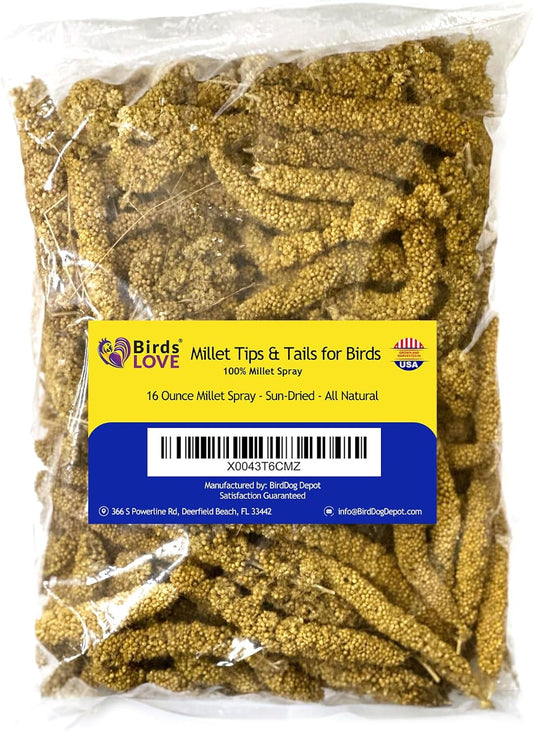 Birds LOVE Millet Tips & Tails for Birds - Parakeets, Cockatiels, Lovebirds, Finches, Budgies, Canaries, Cockatoos - Natural & Healthy Millet for Birds - Parakeet Food & Treats for All Parrots, 1lb