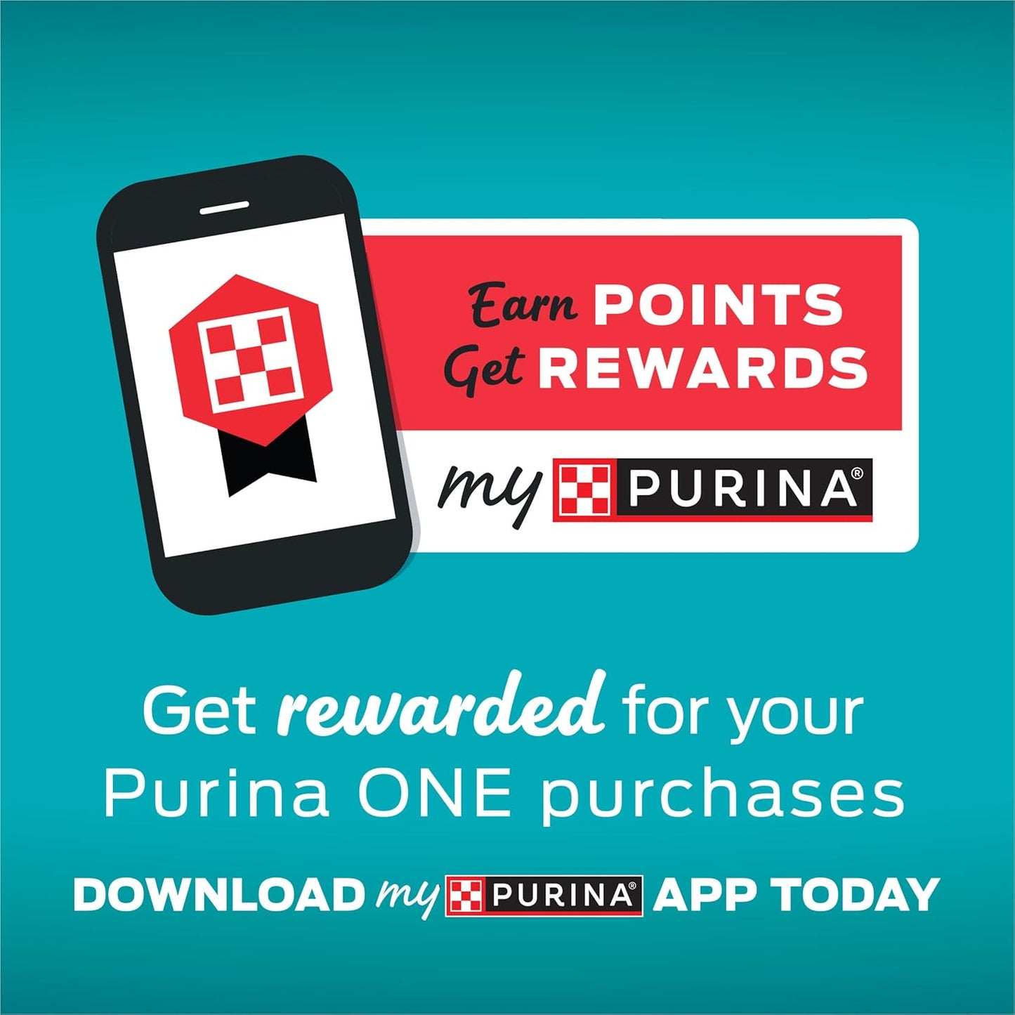 Purina ONE High Protein, Natural Dry Kitten Food, +Plus Healthy Kitten Formula - 7 lb. Bag