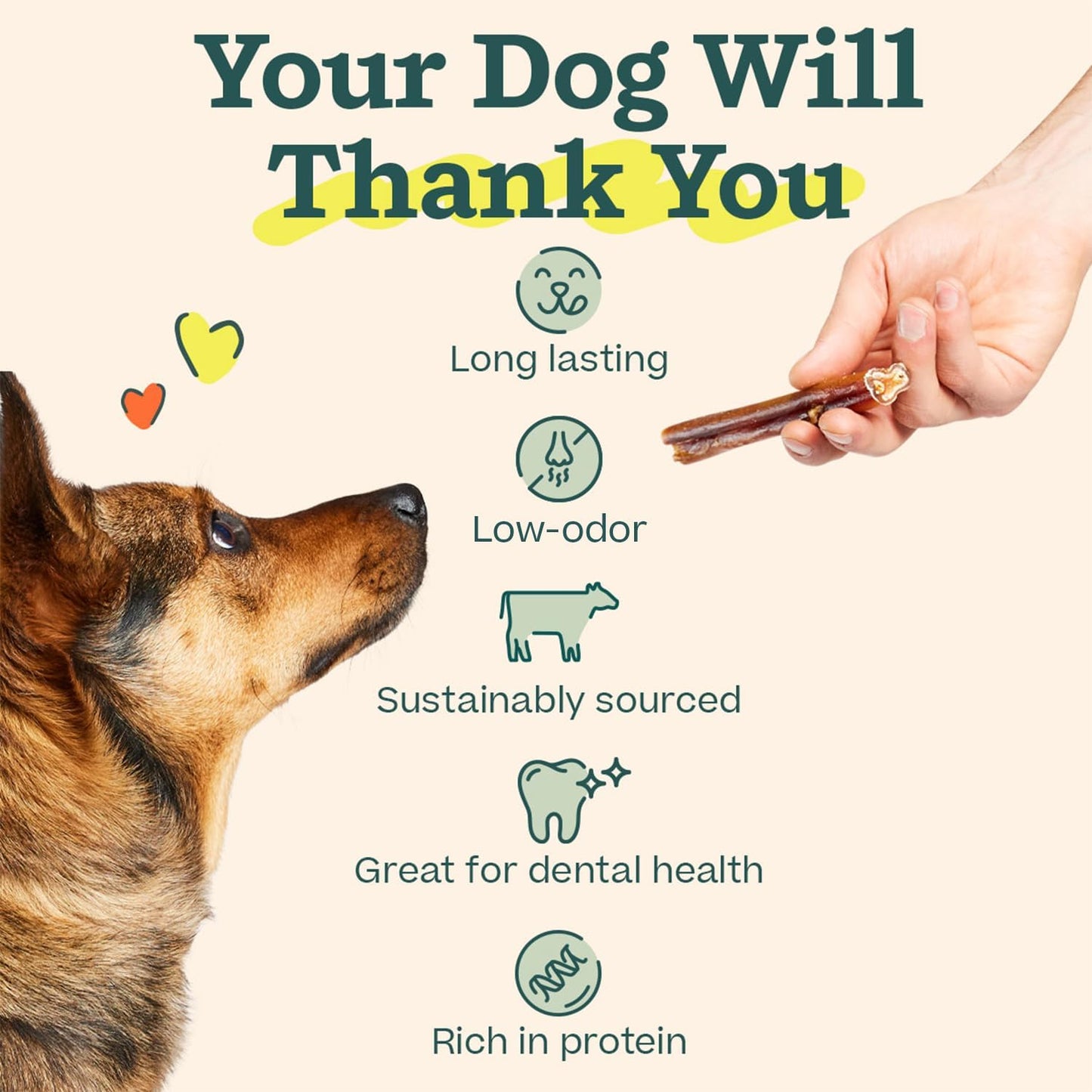 WOOF Bully Sticks Dog Treats - Chew Sticks for Dogs - Long-Lasting Dog Chew Treats - Made with Free-Range, Grass-Fed Beef - 6" Sticks - 5pk