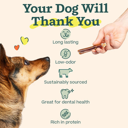 WOOF Bully Sticks Dog Treats - Chew Sticks for Dogs - Long-Lasting Dog Chew Treats - Made with Free-Range, Grass-Fed Beef - 6" Sticks - 5pk