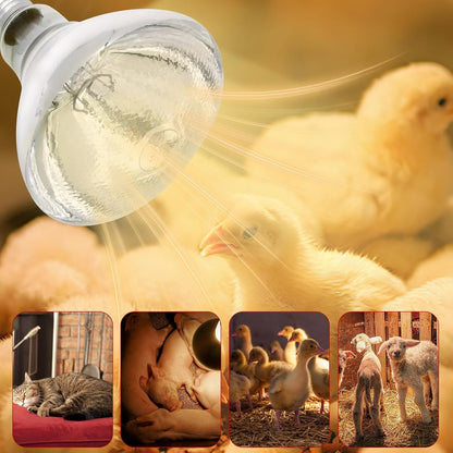 Heat Lamp Bulbs for Chickens Infrared Heat Lamp 250W Incandescent Spotlight for Brooder Coops Pets Chicks Reptiles Food Service (2 Packs)