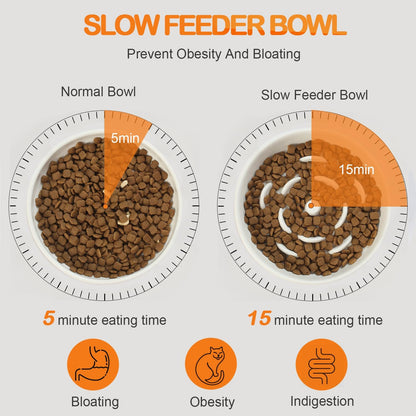 Raised Slow Feeder Cat Bowl, 5.9 Inch Wide Shallow Ceramic Elevated Glass Food Bowl Puzzle Feeders, Anti Vomit Cat Dish, Whisker Friendly Pet Plates Feeding Station for Indoor Cats, Kitten(1 Set)