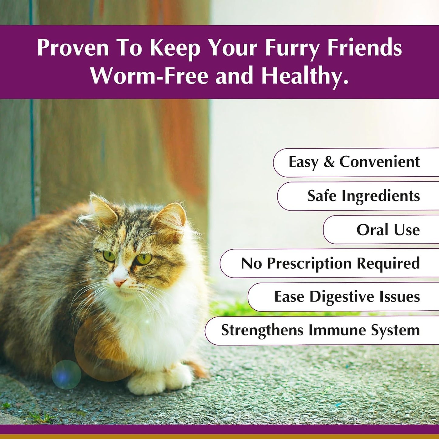 No More Worms in Cats and Kittens - Dewormer for Cats - Ham Flavour with 3ml Dropper