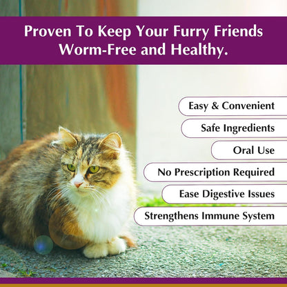 No More Worms in Cats and Kittens - Dewormer for Cats - Ham Flavour with 3ml Dropper