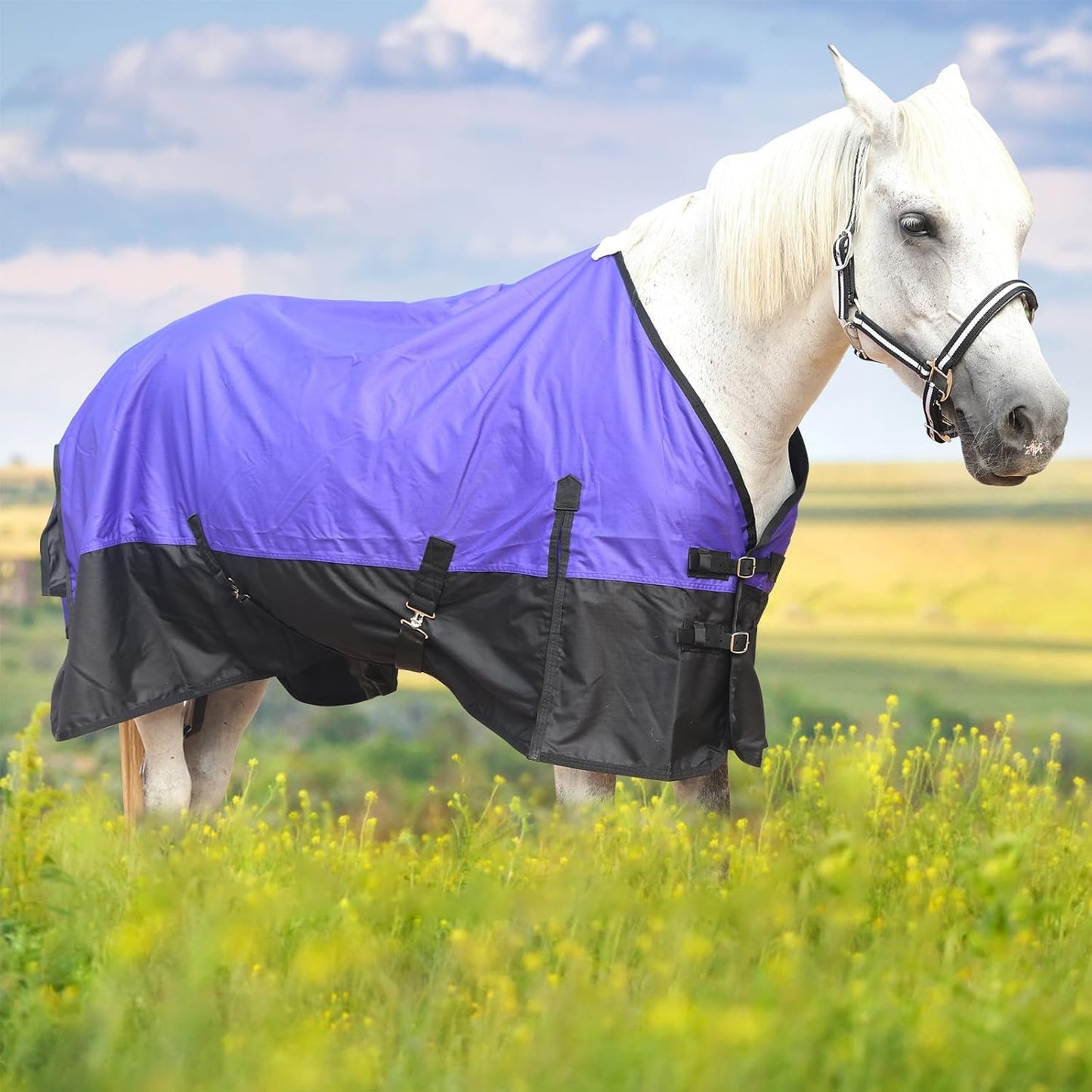 600 Denier Rip-Stop Horse Rain Sheet Lightweight Waterproof and Breathable Turnout Horse Blanket (No Fill) Violet/Black 78