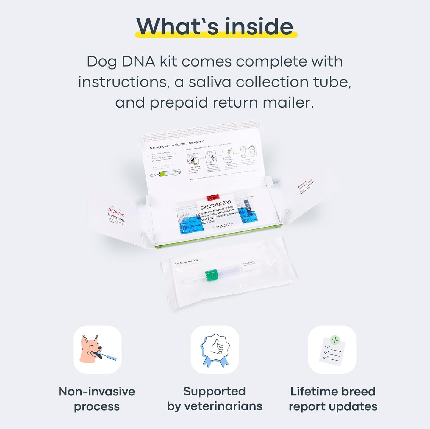 Basepaws Dog DNA Testing Kit - 330+ Breeds, 280+ Health Risks, and 30+ Traits - Comprehensive Mixed Breed Identification, Pet DNA Test kit, Canine Genetic Ancestry and Heritage