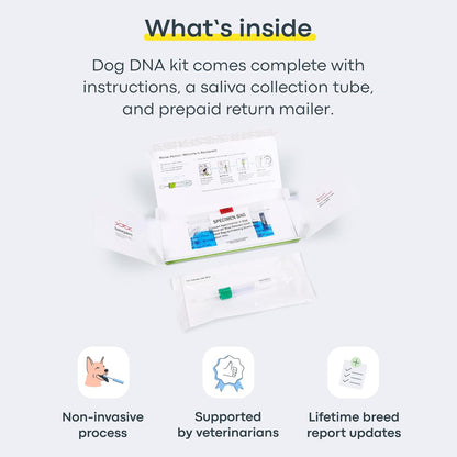Basepaws Dog DNA Testing Kit - 330+ Breeds, 280+ Health Risks, and 30+ Traits - Comprehensive Mixed Breed Identification, Pet DNA Test kit, Canine Genetic Ancestry and Heritage