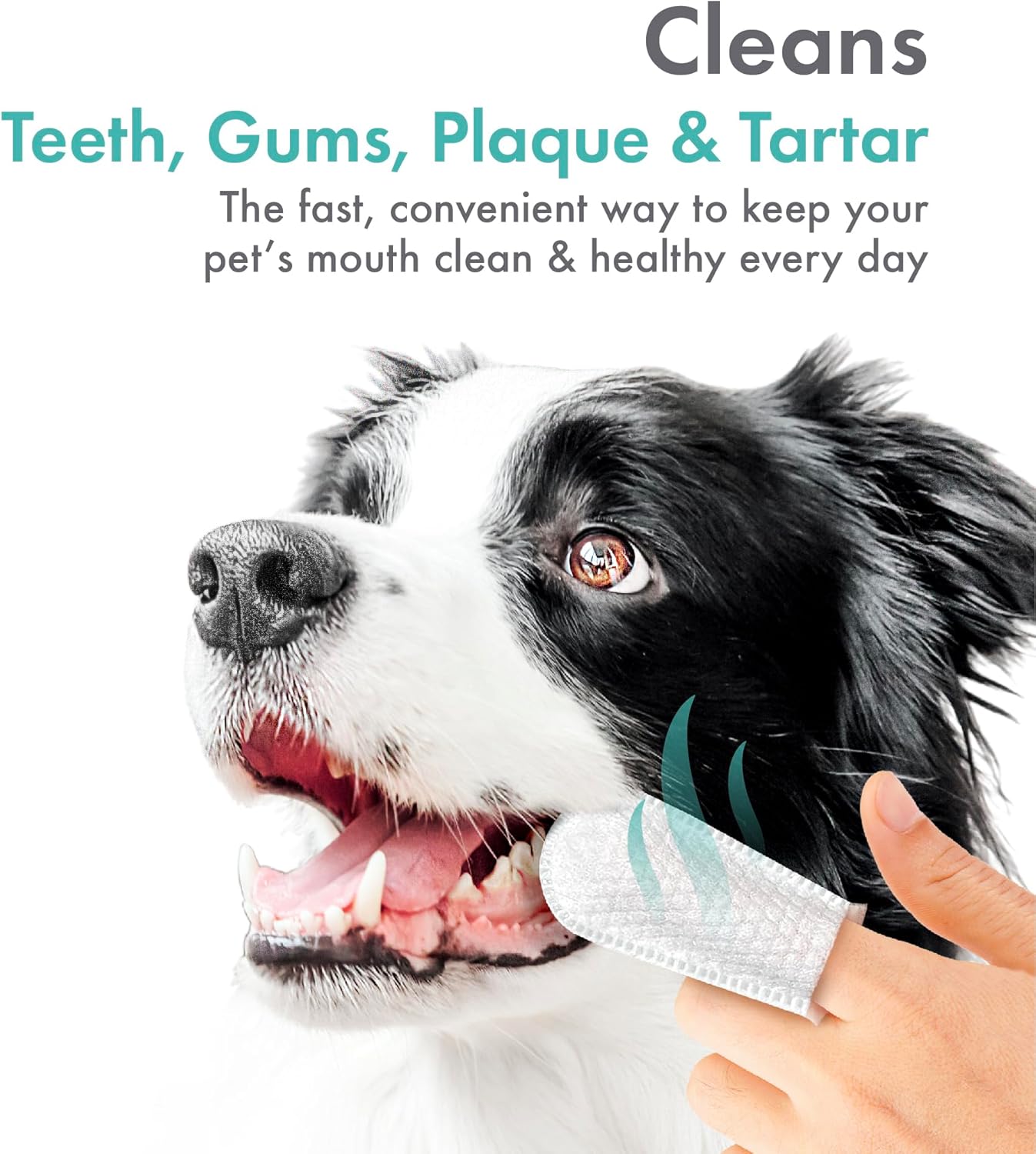 Petkin Fingertip Tooth Wipes for Dogs and Cats, 50 Finger Wipes - Slip-On, Snug Fit, Micro-Bristle Fabric - Cleans Teeth, Gums, Plaque & Tartar - Convenient, Ideal for Home and Travel - Fresh Mint