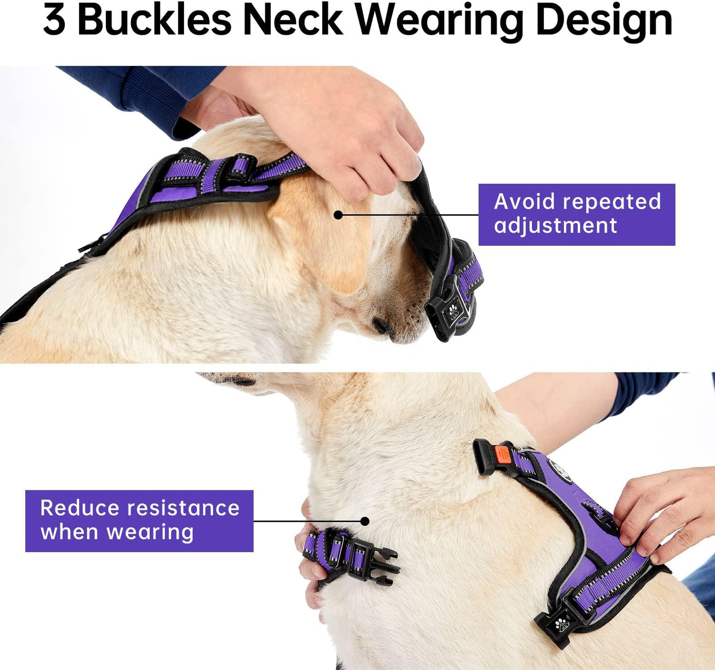 IVY&LANE No Pull Dog Harness for Medium Dogs, Dog Vest Harness with Leash, Safety Belt and Storage Strap, Fully Adjustable Harness, 360?Reflective Strip, Soft Handle (Purple, M)
